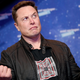 Congrats to Elon Musk, one of 2020's top environmental grifters.